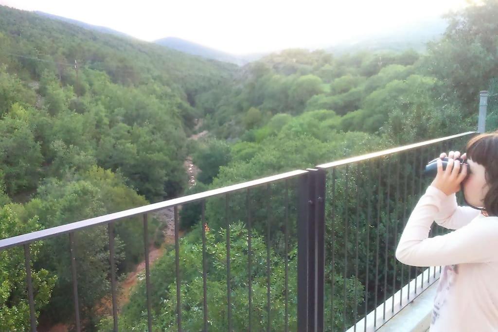 Casa Sapeiro - Allotjament Rural 세예르스 외부 사진